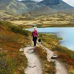Hogfjellshotell Hotell Høvringen