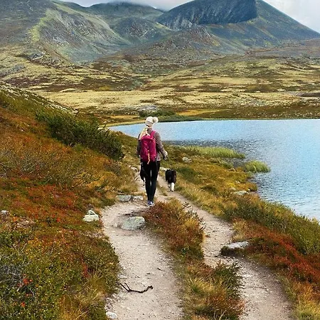 Hogfjellshotell Ξενοδοχείο Høvringen