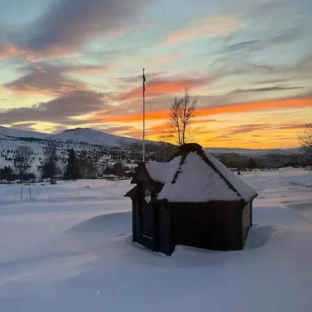 Hotel Hogfjellshotell