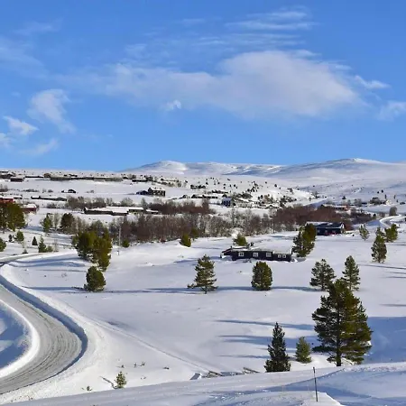 Hotel Hogfjellshotell