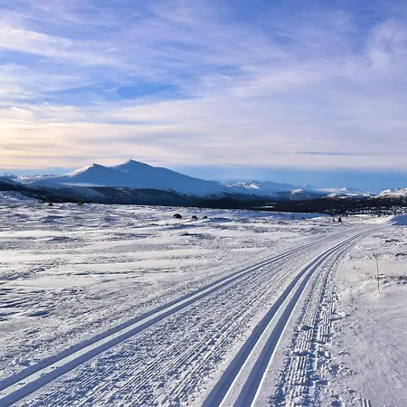 Hogfjellshotell * Høvringen