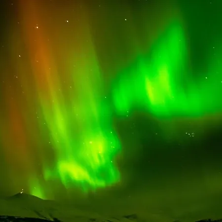 Hotel Hogfjellshotell *