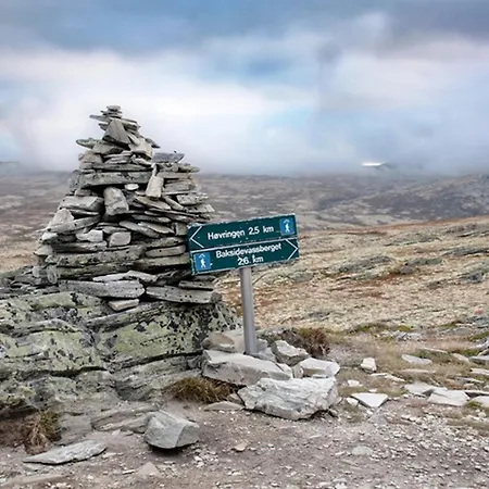 Отель Hogfjellshotell