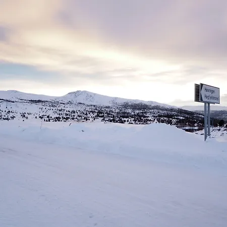 Hotel Hogfjellshotell Høvringen