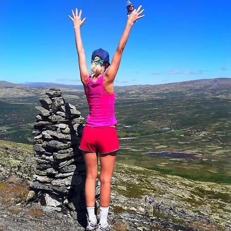 Hogfjellshotell * Høvringen