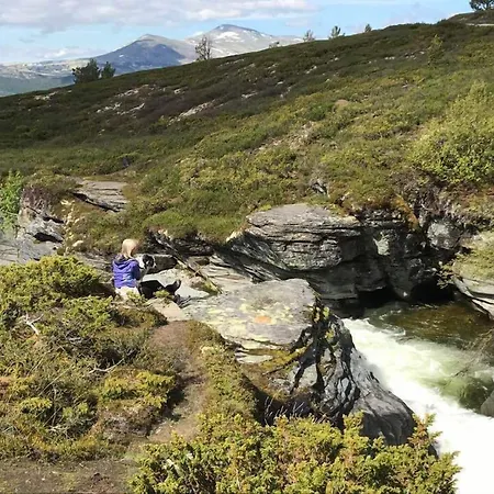Hotel Hogfjellshotell Høvringen