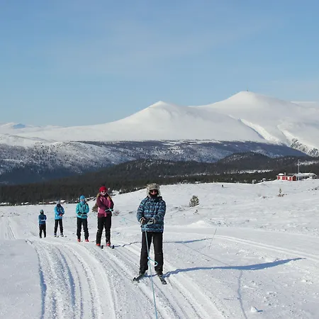 Hogfjellshotell * Høvringen