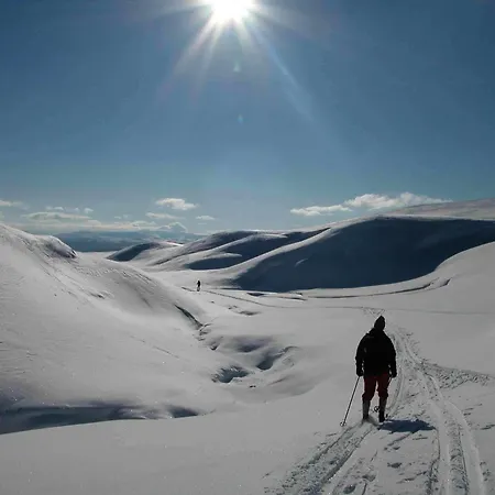 Hogfjellshotell *