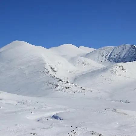 Hogfjellshotell Hotel Høvringen