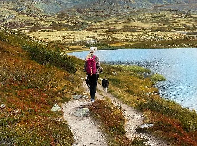 Hogfjellshotell Hotel Høvringen