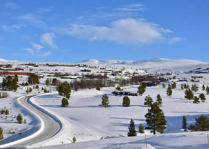 Hotel Hogfjellshotell