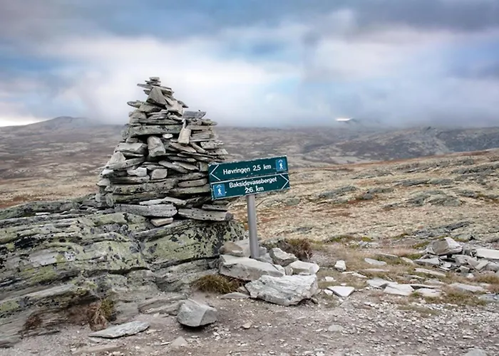 Hotel Hogfjellshotell