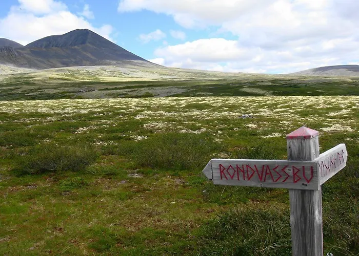 Hotel Hogfjellshotell Høvringen