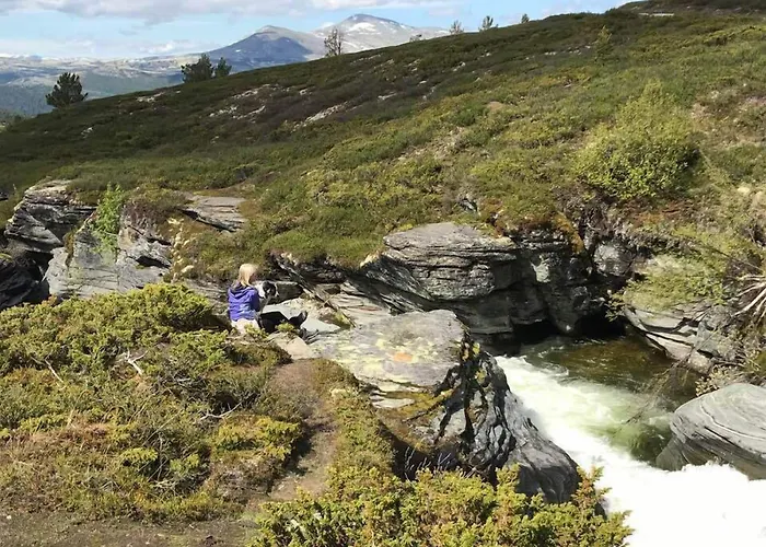 Hotel Hogfjellshotell Høvringen
