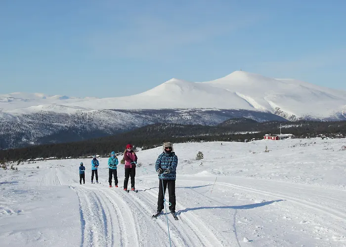 Hogfjellshotell * Høvringen