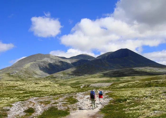 Hogfjellshotell Hotel