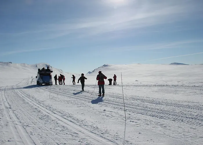 Hogfjellshotell Hotel *