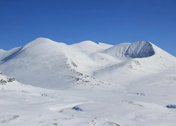 Hogfjellshotell Hotel Høvringen